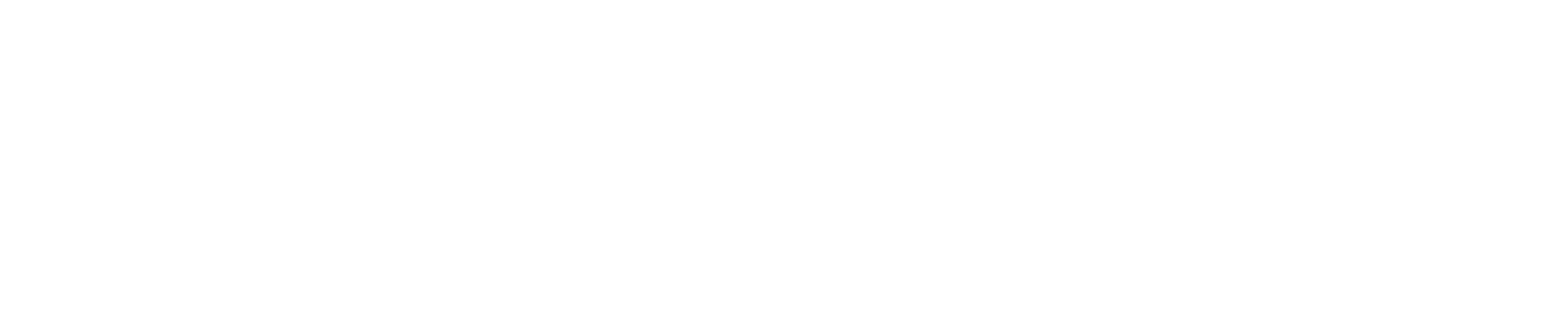 netlock-logo